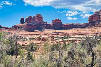 Wooden Shoe Arch