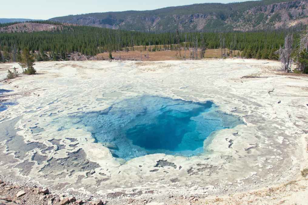 Artemisia Geyser