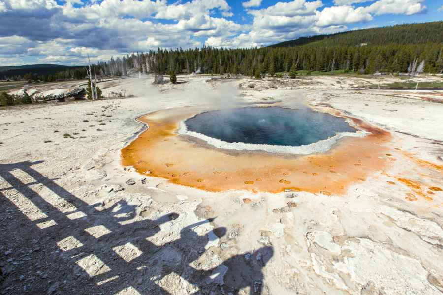 Crested Pool