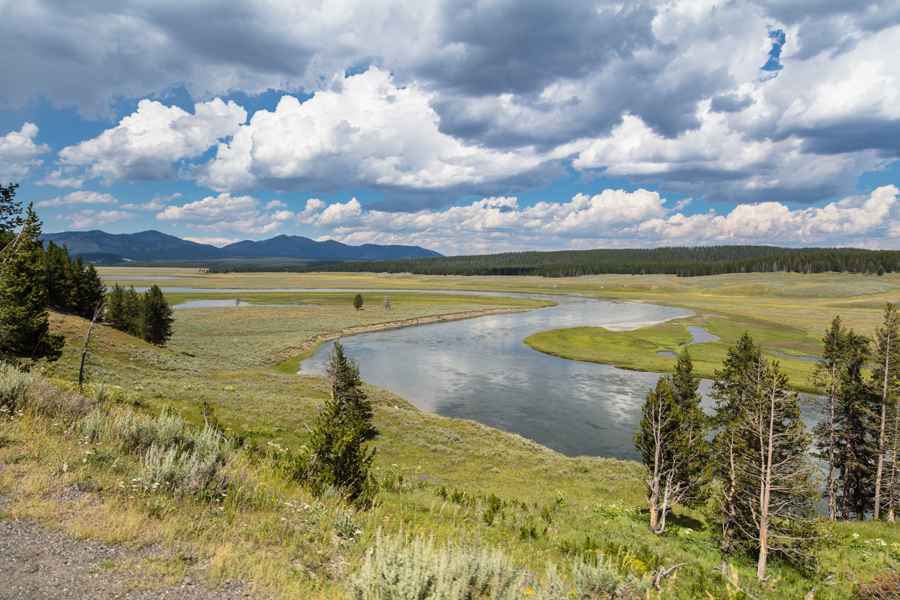 Yellowstone river, Hayden Valley