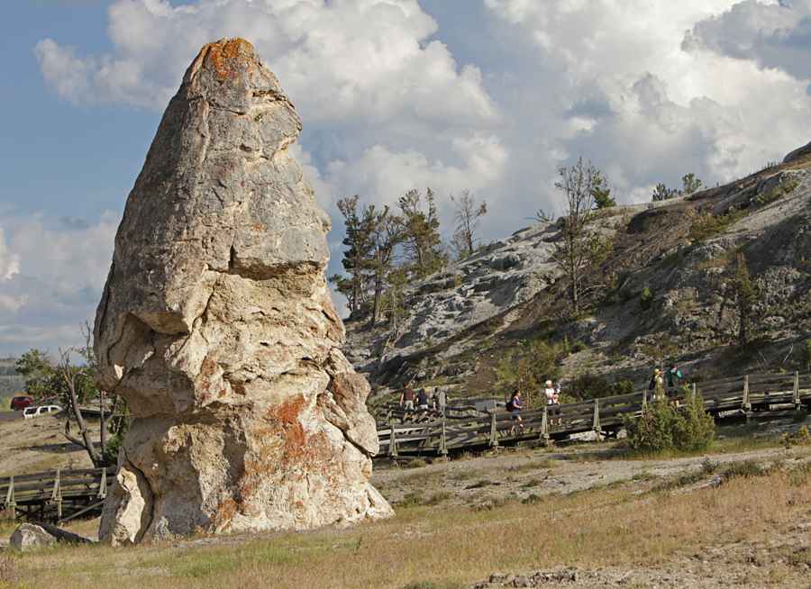 Liberty Cap