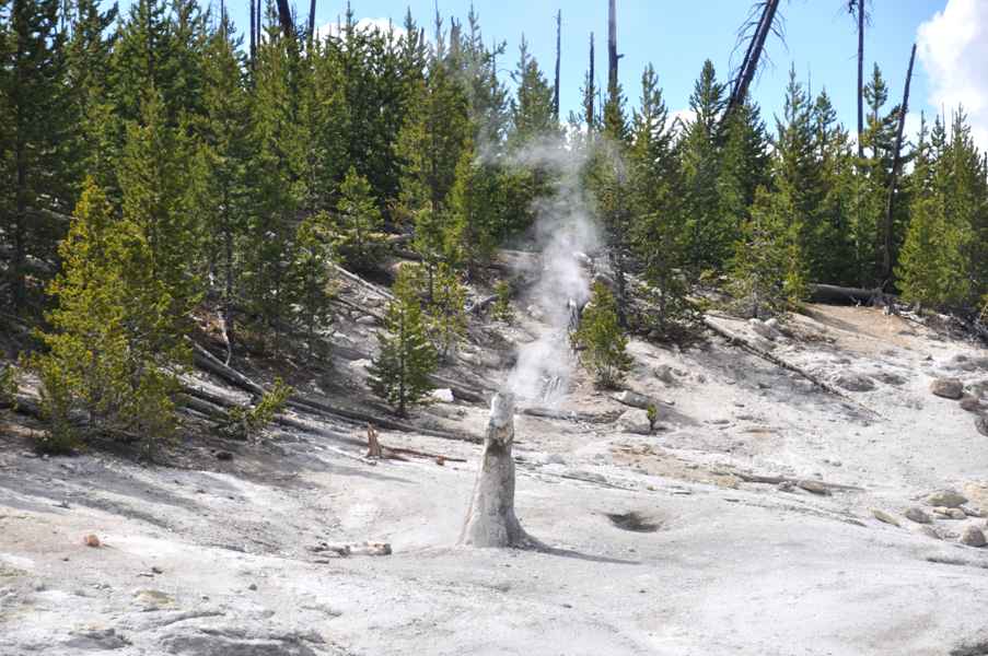 Monument Geyser Basin