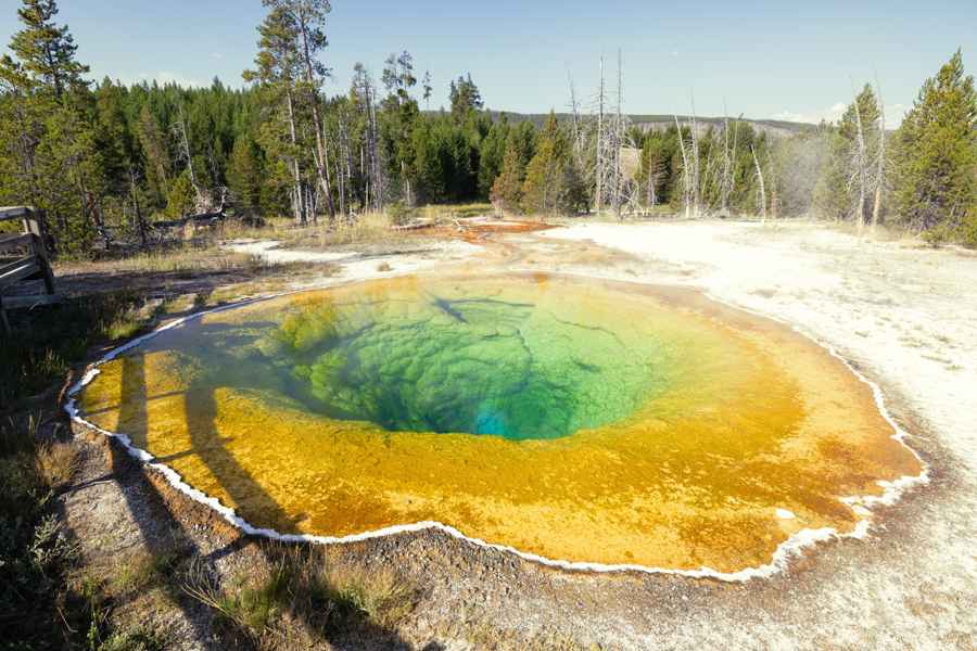 Morning Glory Yellowstone