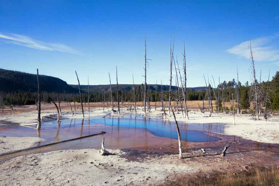 Opalescent Pool