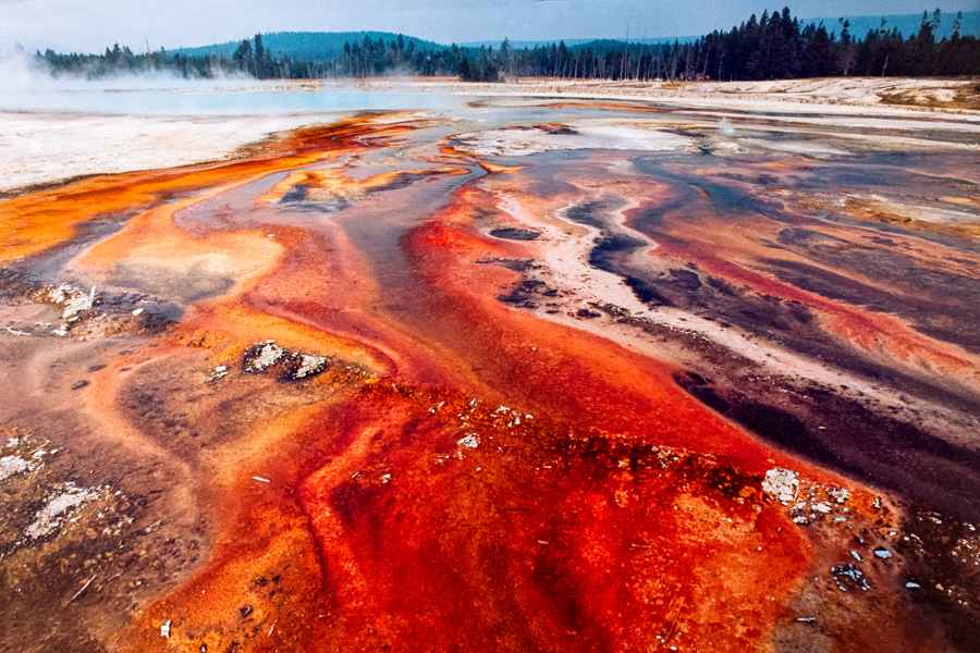 Rainbow Pool thermophiles