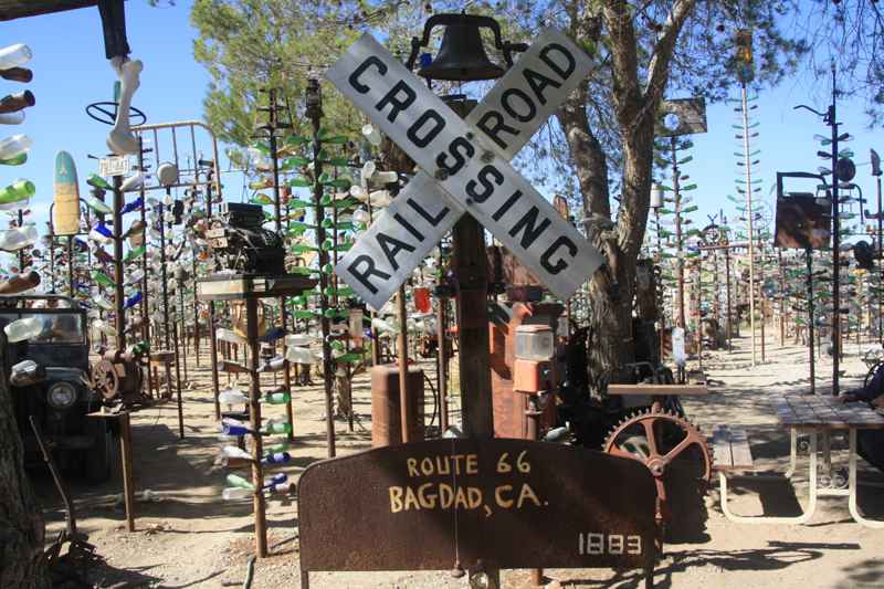 Bottle Tree Ranch