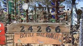 Bottle Tree Ranch