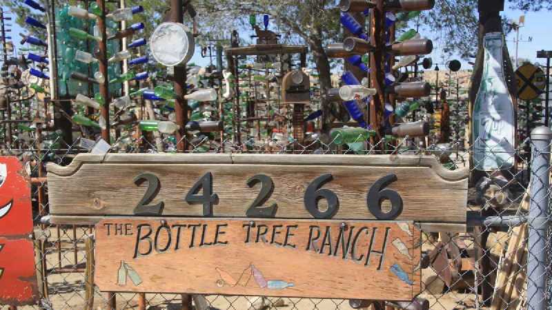 Bottle Tree Ranch