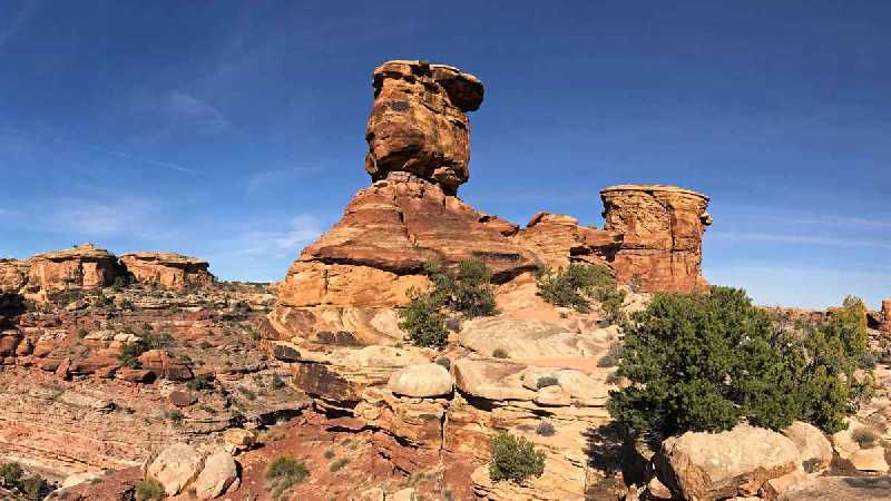 The Needles, Canyonlands National Park