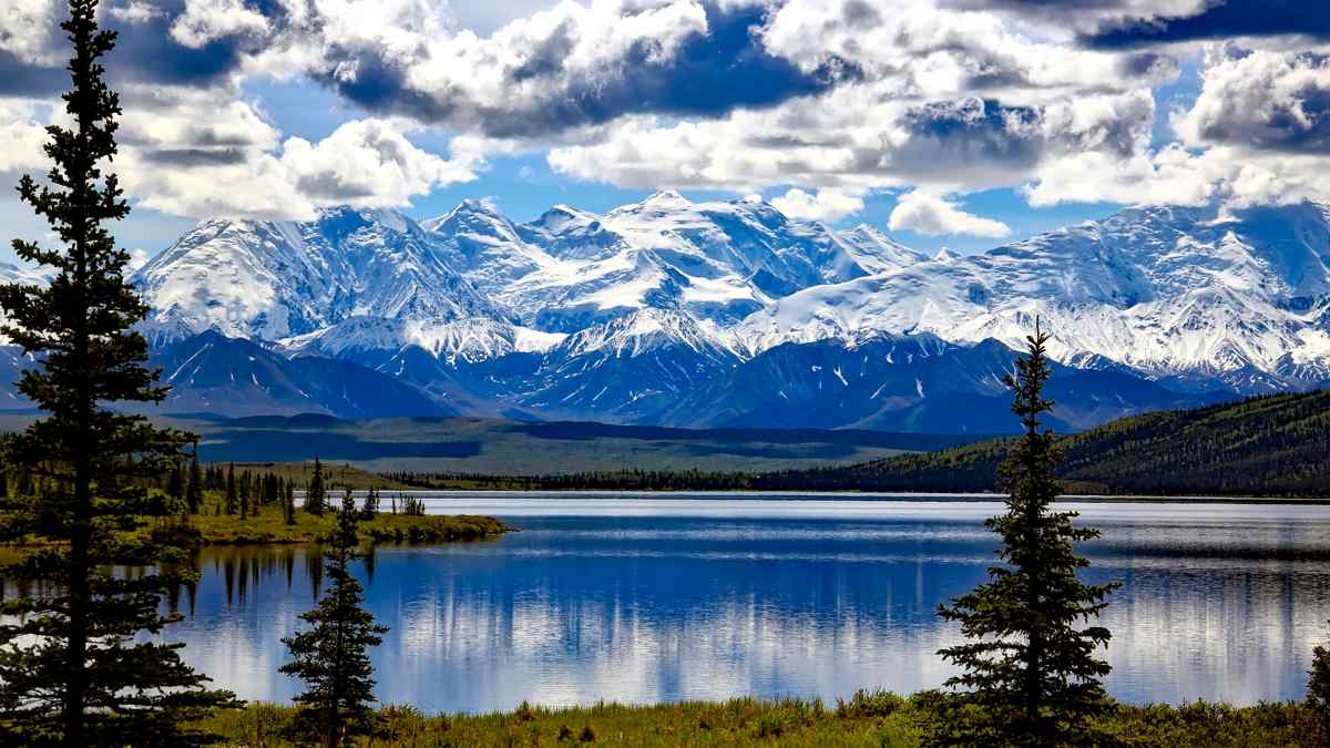Denali National Park, l'Alaska sauvage