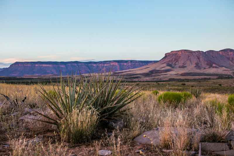 Grand Wash Cliffs Wilderness