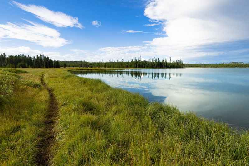 Grebe Lake trail