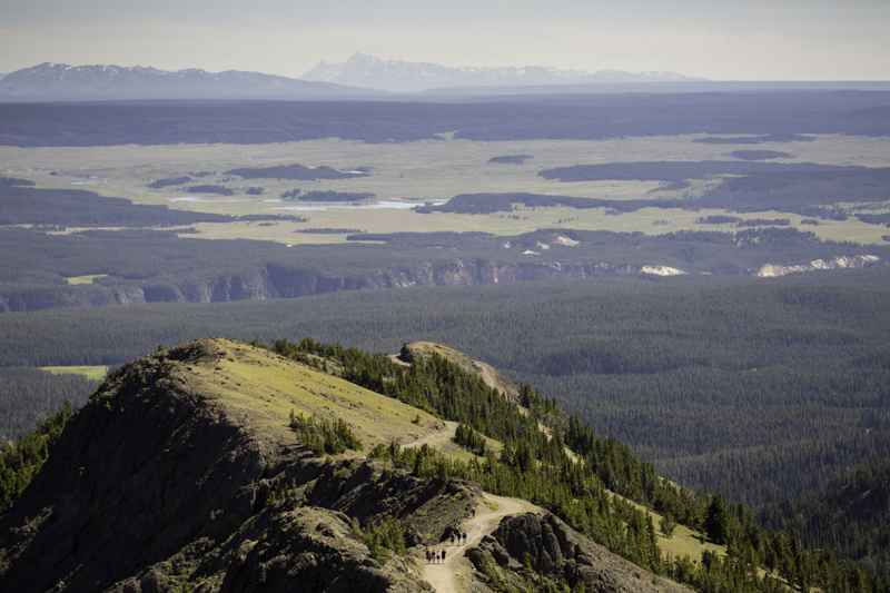 Mount Washburn Trail