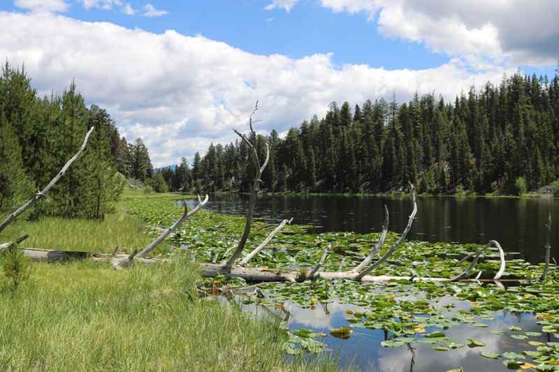 Lost Lake trail