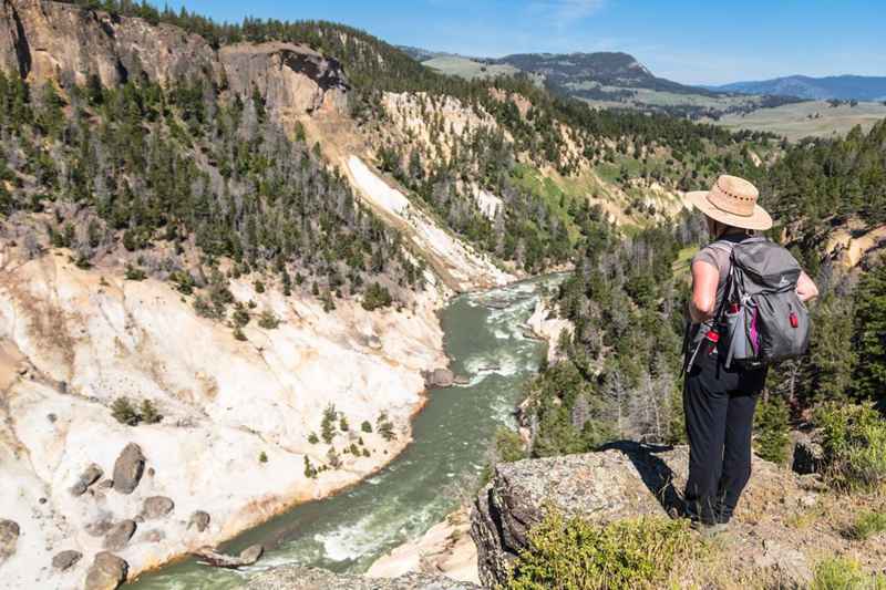 Yellowstone River Picnic Area