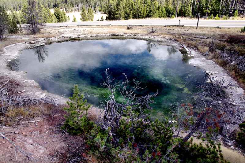 Leather Pool