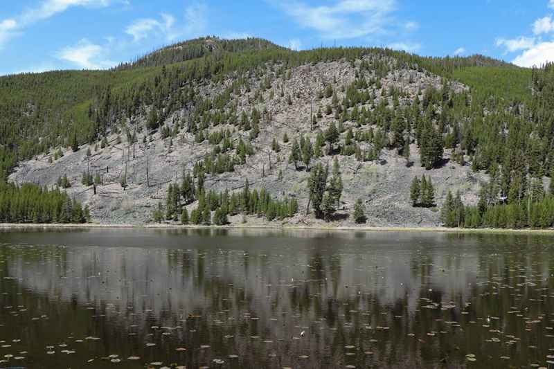 Harlequin Lake trail