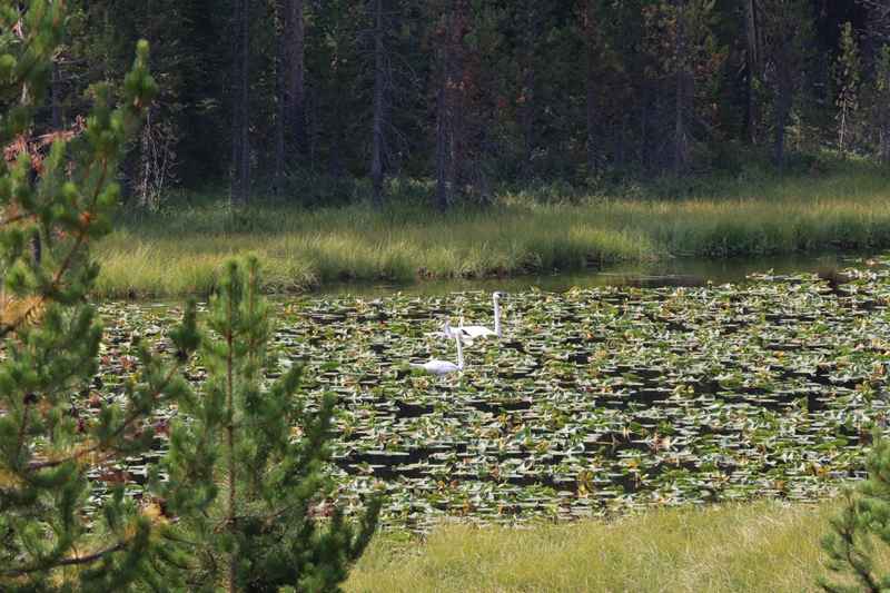 Wolf Lake trail