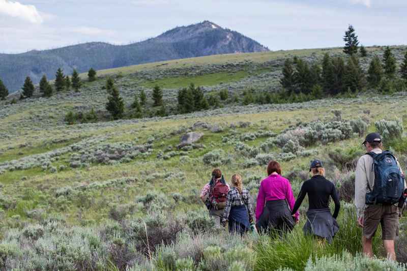 Beaver Ponds trail