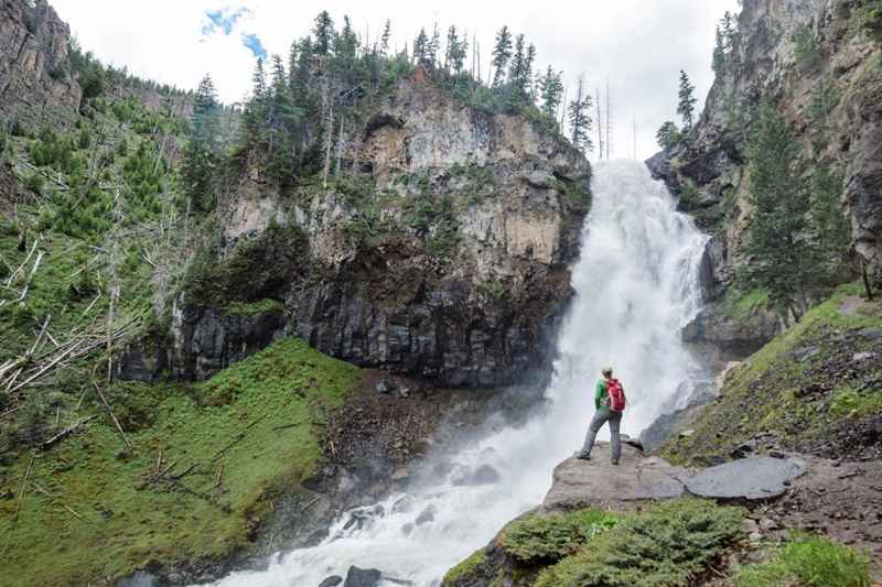 Osprey Falls trail