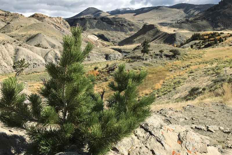 Rescue Creek Trail