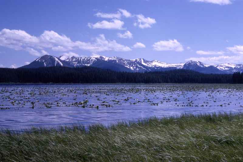 Riddle Lake trail