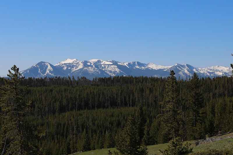 Yellowstone Lake Overlook trail