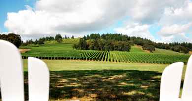 Visite des vignobles de Willamette Valley