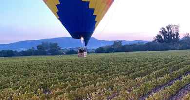 Napa Valley en montgolfière